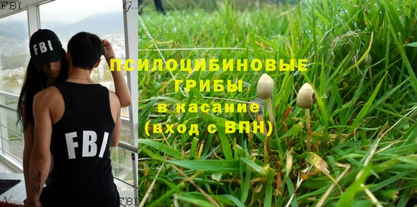 сатива Касимов