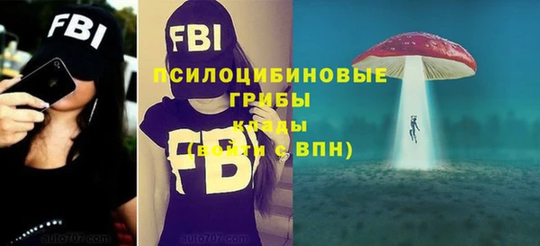тгк Карпинск