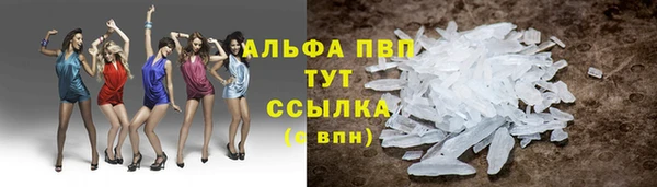 сатива Касимов