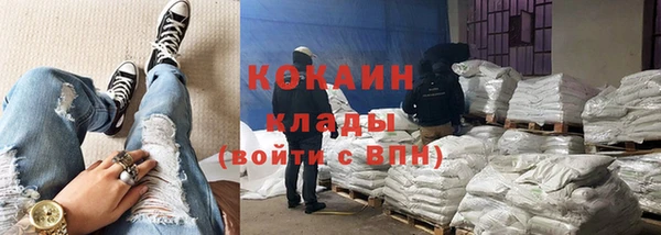 сатива Касимов