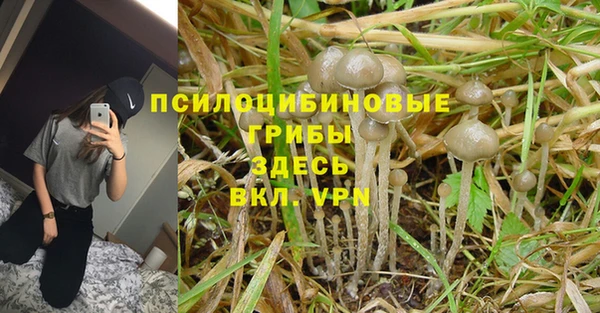 тгк Карпинск