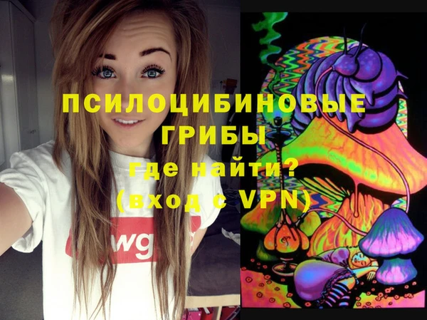 сатива Касимов